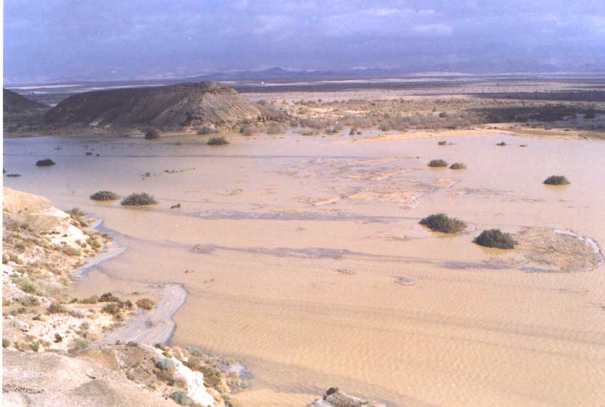 maagar_eshet.jpg (50971 bytes)