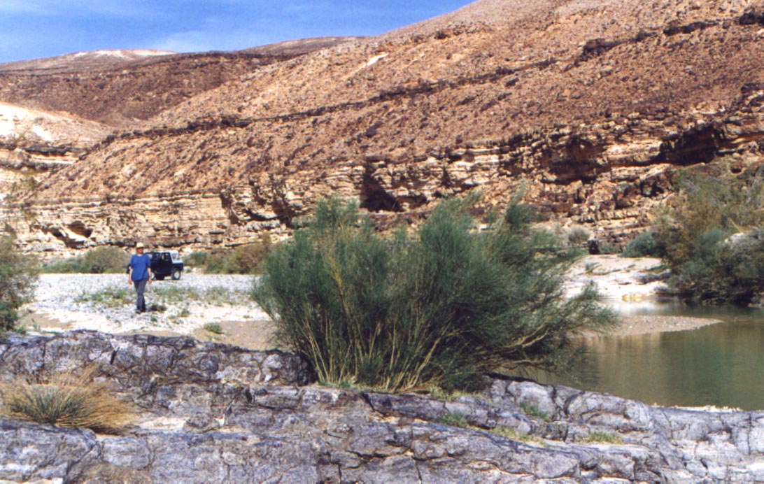 pharan.jpg (221543 bytes)